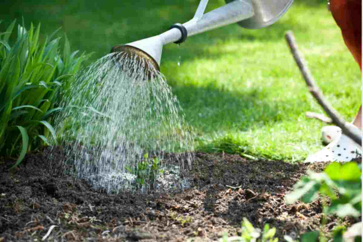 bagnare giardino