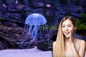 Medusa nel mare, donna sorridente con mano sul viso