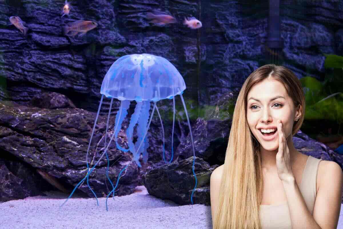 Medusa nel mare, donna sorridente con mano sul viso