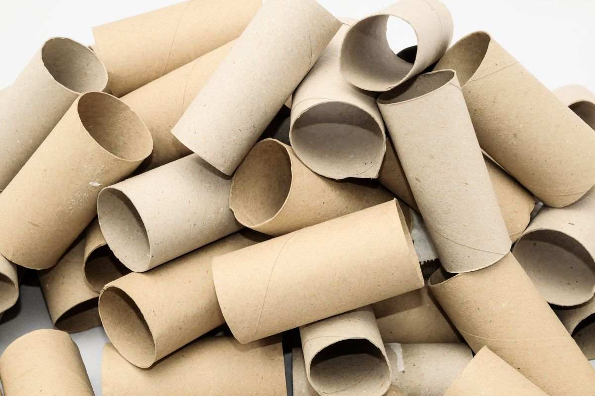 rotoli di carta igienica vuoti