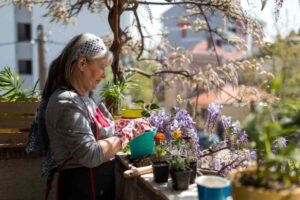 una signora che annaffia le piante sul balcone