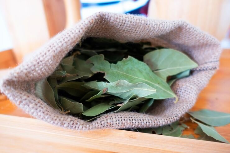 Sacchetto con foglie di alloro 