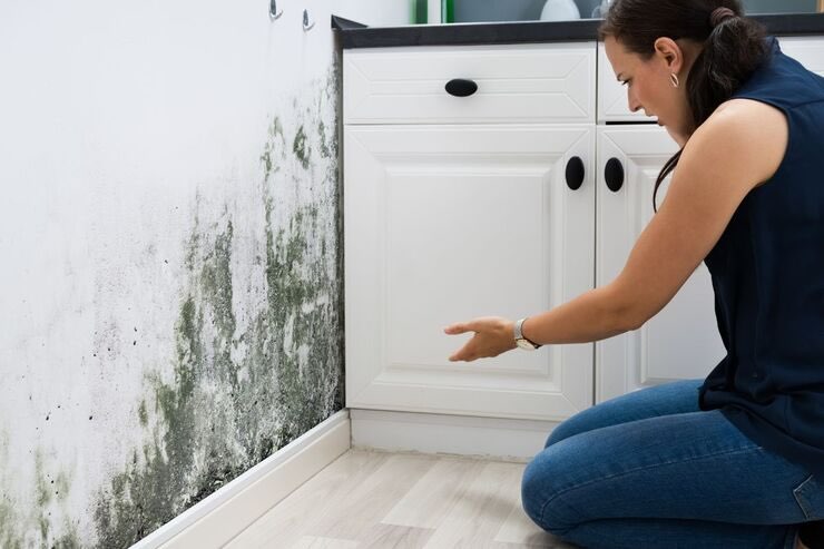Donna indica contrariata muffa sul muro