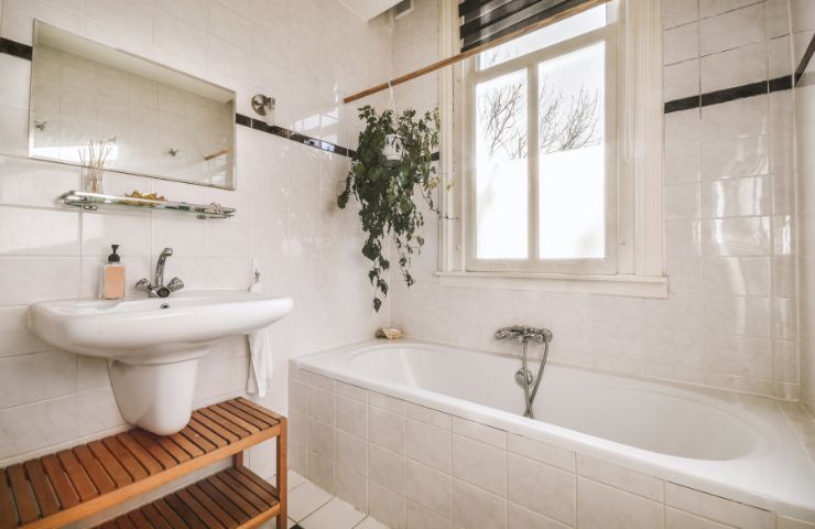un bagno con le piante