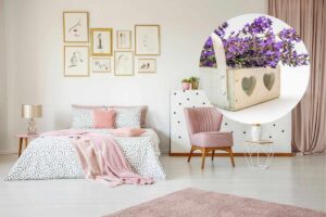 una camera da letto e dentro una cornice c'è una lavanda